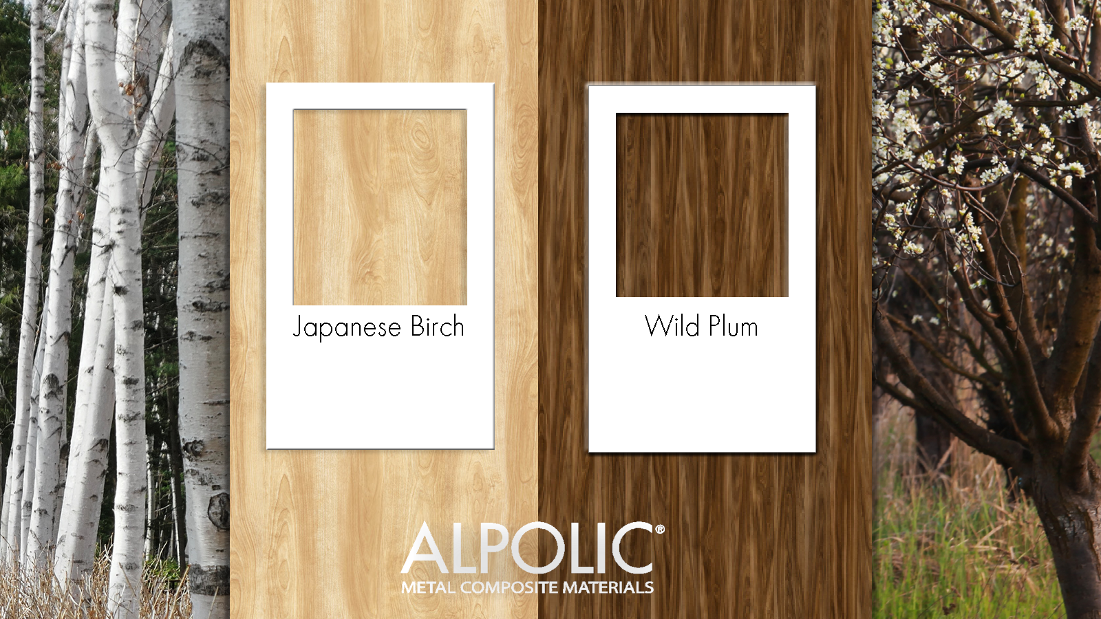 ALPOLIC Adds New Patterns to Timber Series Finishes